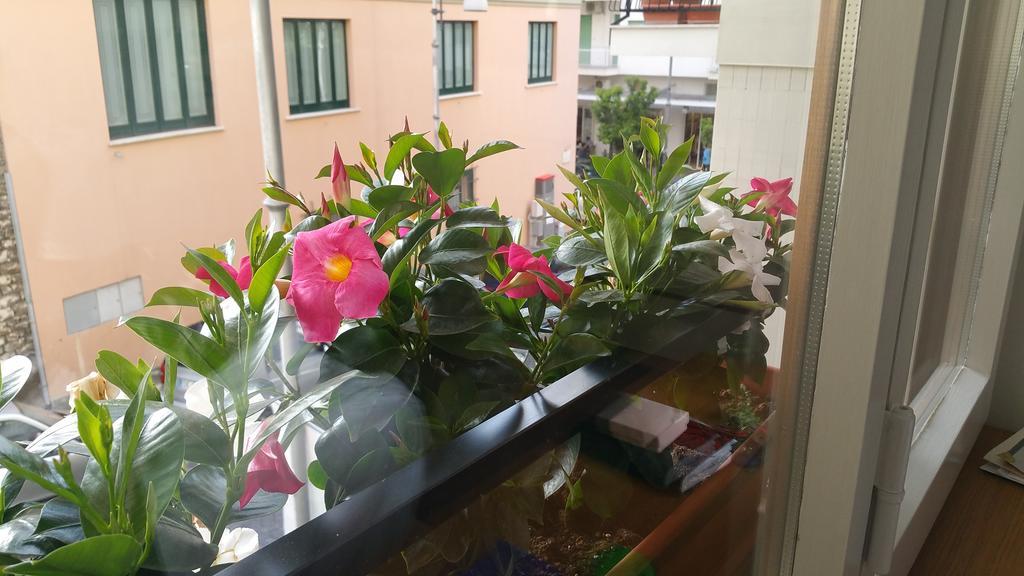 B&B Veru Sorrento Exteriör bild